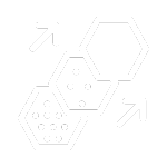 Fine Line icon.